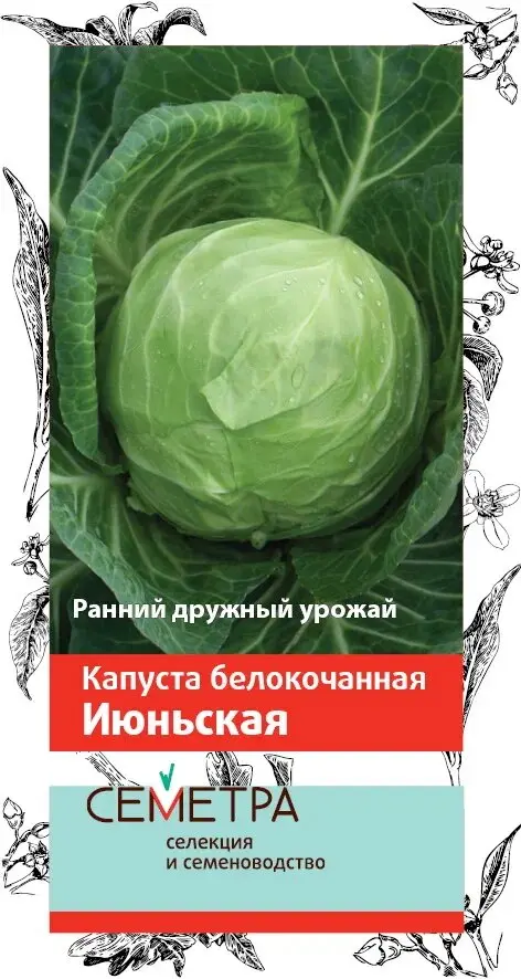 Семена Капуста белокочанная Июньская. СЕМЕТРА Ц/П 0,5 г