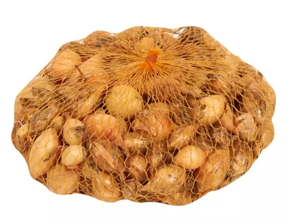 Лук -севок, сорт Стурон 0,5 кг (Россия), фракция 21/24