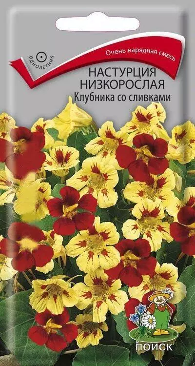 Семена цветов Настурция низкорослая Клубника со сливками. ПОИСК Ц/П 1 г