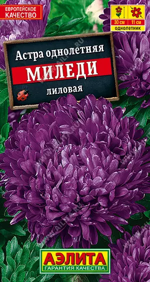 Семена цветов Астра Миледи лиловая АЭЛИТА Ц/П 0,2г