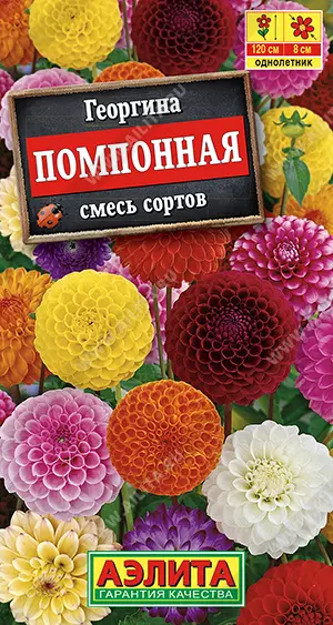 Семена цветов Георгина Помпонная, смесь сортов. АЭЛИТА Ц/П 0,3 г