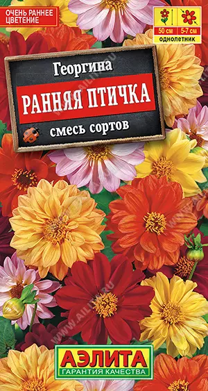 Семена цветов Георгина Ранняя птичка, смесь сортов. АЭЛИТА Ц/П