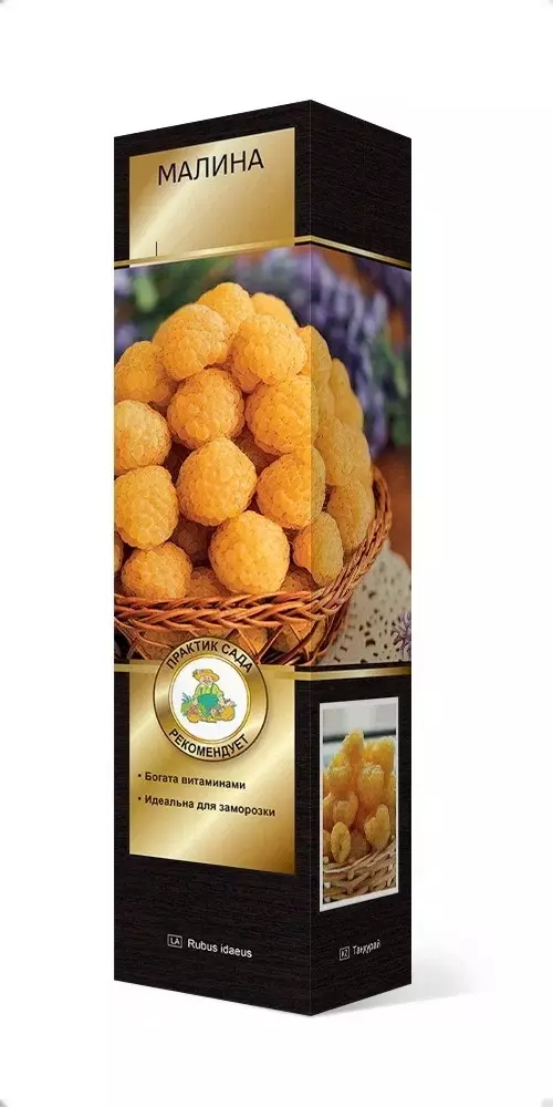 Саженец Малина ремонтантная Золотой сентябрь (в тубе), Поиск