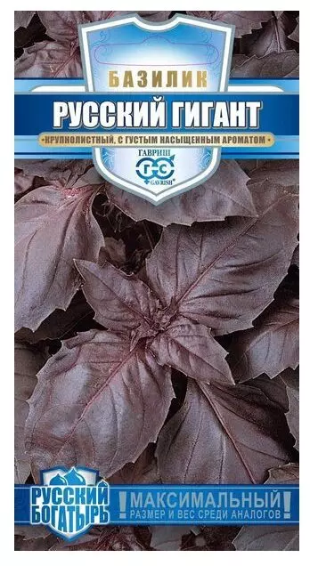 Семена Базилик Русский гигант фиолетовый 0,1 гр (Гавриш) цв