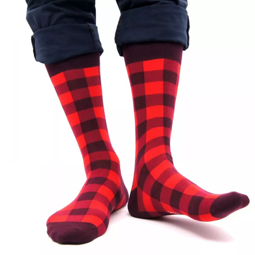 Носки мужские Tezido Т2113 шотландская клетка бордовая р-р 41-46