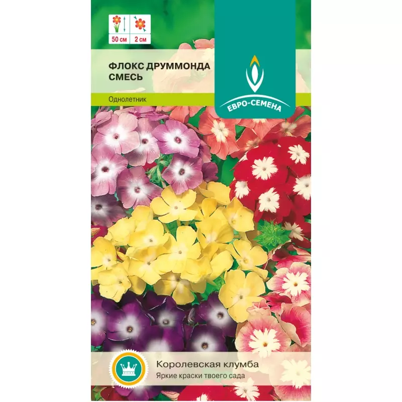 Семена цветов Флокс Друммонда, смесь. ЕВРО-СЕМЕНА Ц/П 0,25 г