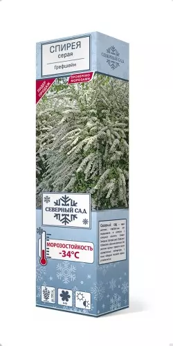 Саженец Спирея серая Грефшейм (в тубе), Поиск