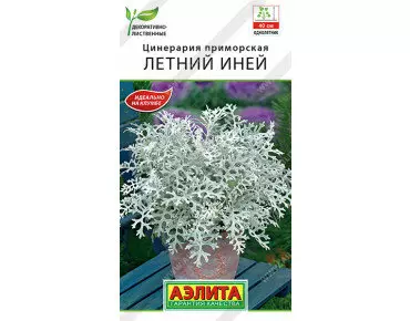 Семена цветов Цинерария Летний Иней 0.05 г (Аэлита)