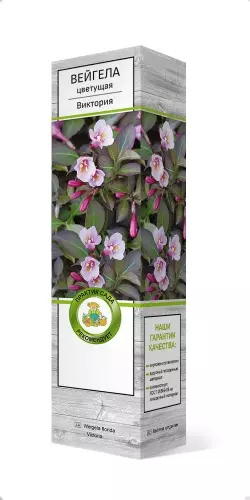 Саженец Вейгела цветущая Виктория (в тубе), Поиск