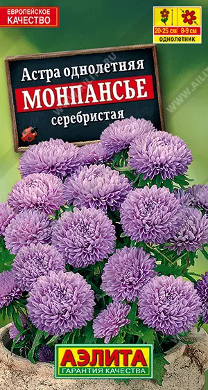Семена цветов Астра Монпасье серебристая 0.2гр АЭЛИТА