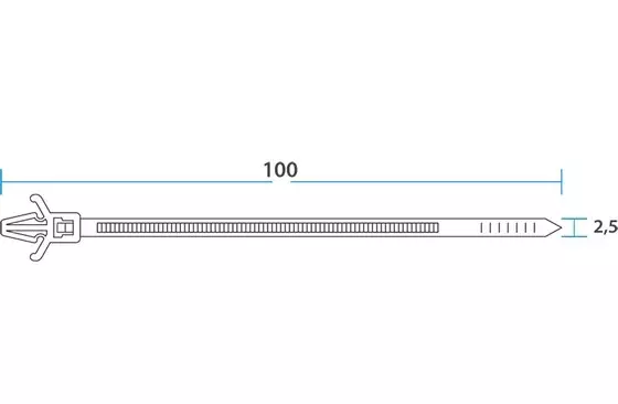 Хомуты стяжки нейлоновые 2,5х100мм с крепежным пистоном 100шт белые REXANT 07-0107