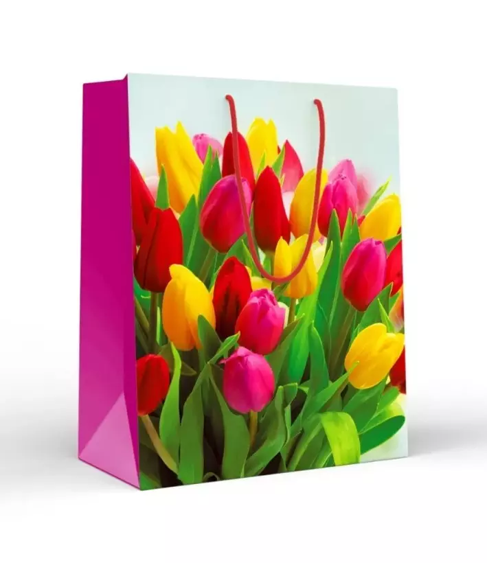 Пакет подарочный (L) Цветные тюльпаны 15.20.02257