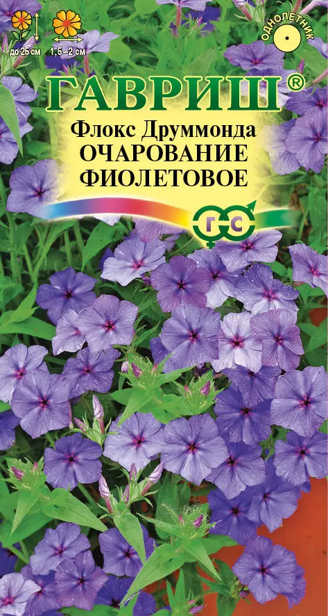 Семена цветов Флокс Очарование Фиолетовое 0.05гр(Гавриш)