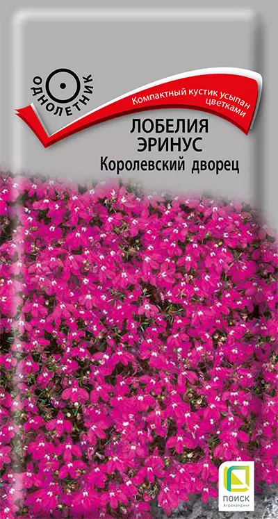 Семена цветов Лобелия Королевская двопец 0.1г (Поиск)