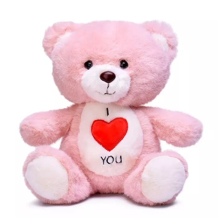 Мягкая игрушка Медведь с сердечком 22 см цвет в ассортименте Мишуткин М1607