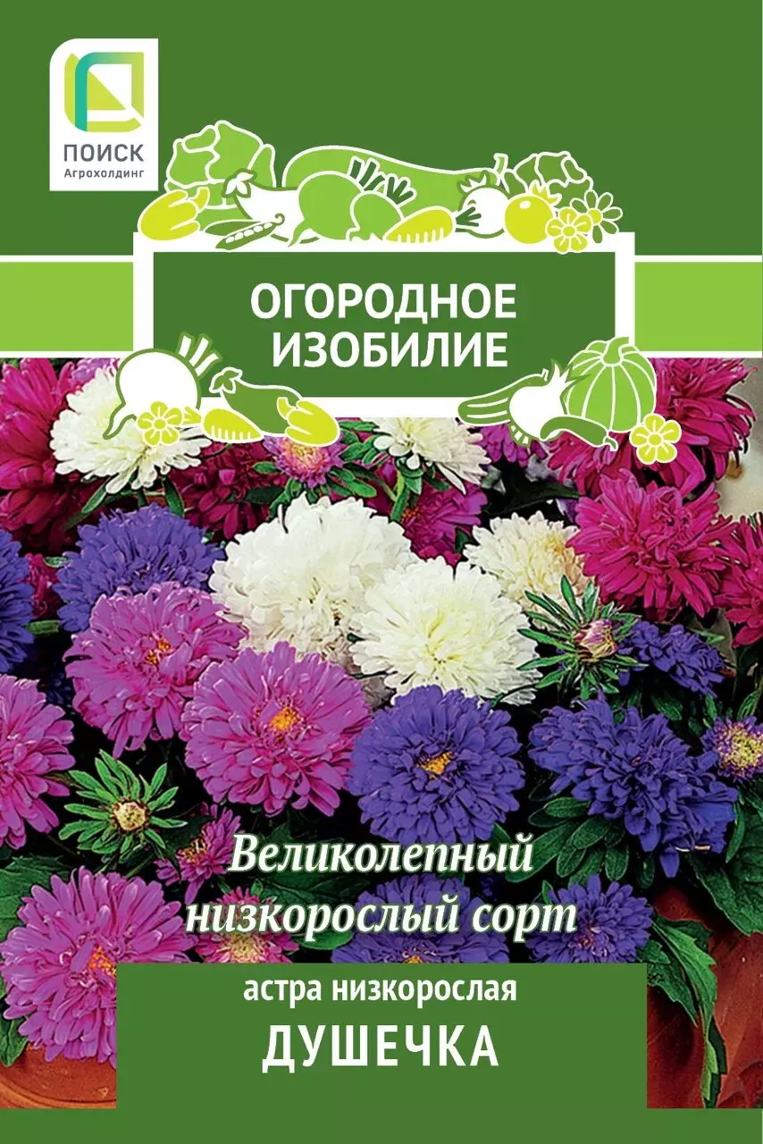 Семена цветов Астра низкорослая Душечка (Огородное изобилие) (1) 0,3гр ПОИСК