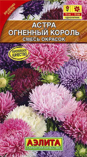 Семена цветов Астра Огненный король, смесь окрасок. АЭЛИТА Ц/П 0,2 г