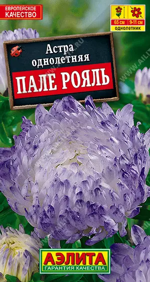 Семена цветов Астра Пале рояль. АЭЛИТА Ц/П 0,2 г