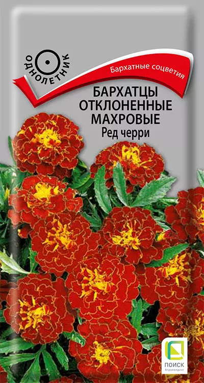Семена цветов Бархатцы Ред черри откл махровые (Поиск) цв