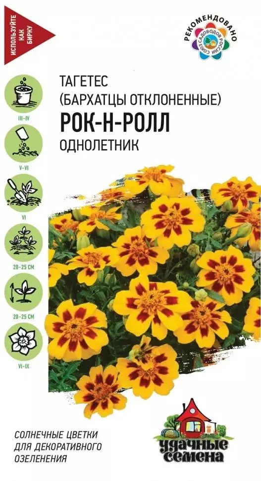 Семена цветов Бархатцы Рок-н-Ролл откл. 0.3грУдачные семена (Гавриш) цв