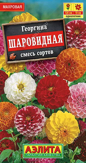 Семена цветов Георгина Шаровидная, смесь сортов. АЭЛИТА Ц/П 0,2 г