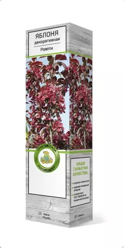 Саженец Яблоня декоративная Роялти (в тубе), Поиск