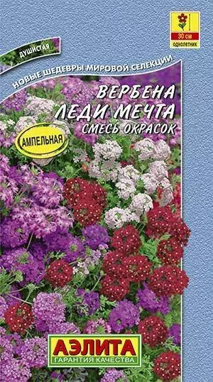 Семена цветов Вербена Леди Мечта смесь АЭЛИТА Ц/П 30 шт