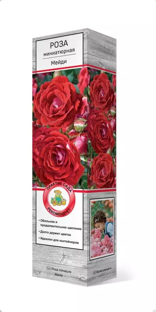 Роза миниатюрная Мейдитемно-красный, оборотная сторона лепестка серебристо-белая