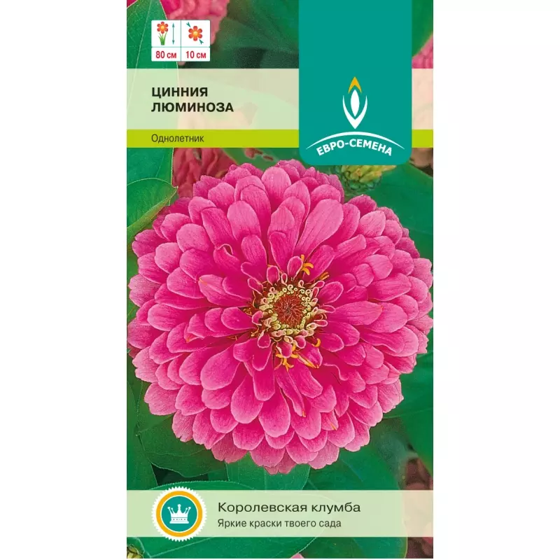 Семена цветов Цинния Люминоза. ЕВРО-СЕМЕНА Ц/П 0,5 г