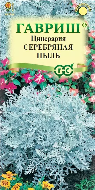 Семена цветов Цинерария серебряная пыль 0.05 гр (Гавриш) цв
