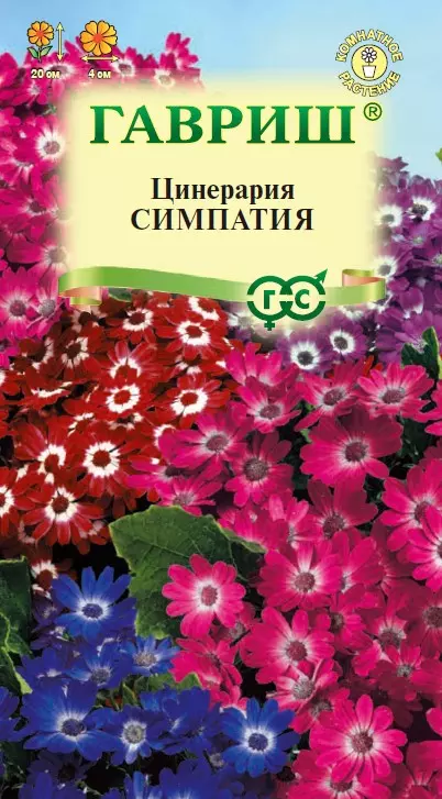 Семена цветов (комнатные) Цинерария Симпатия цветущая гибридная ГАВРИШ 8 шт ц/п