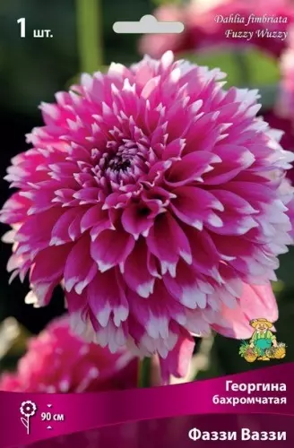 Клубни цветов Георгина бахромчатая Фаззи Ваззи (I; 1 шт)