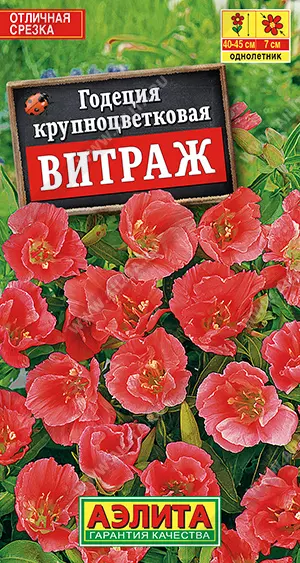 Семена цветов Годеция крупноцветковая Витраж. АЭЛИТА Ц/П 0,05 г