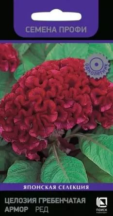 Семена цветов Целозия гребенчатая Армор Ред, ПОИСК 15 шт ц/п