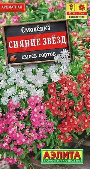 Семена Смолевка Сияние звезд, смесь сортов. АЭЛИТА Ц/П 0,1 г