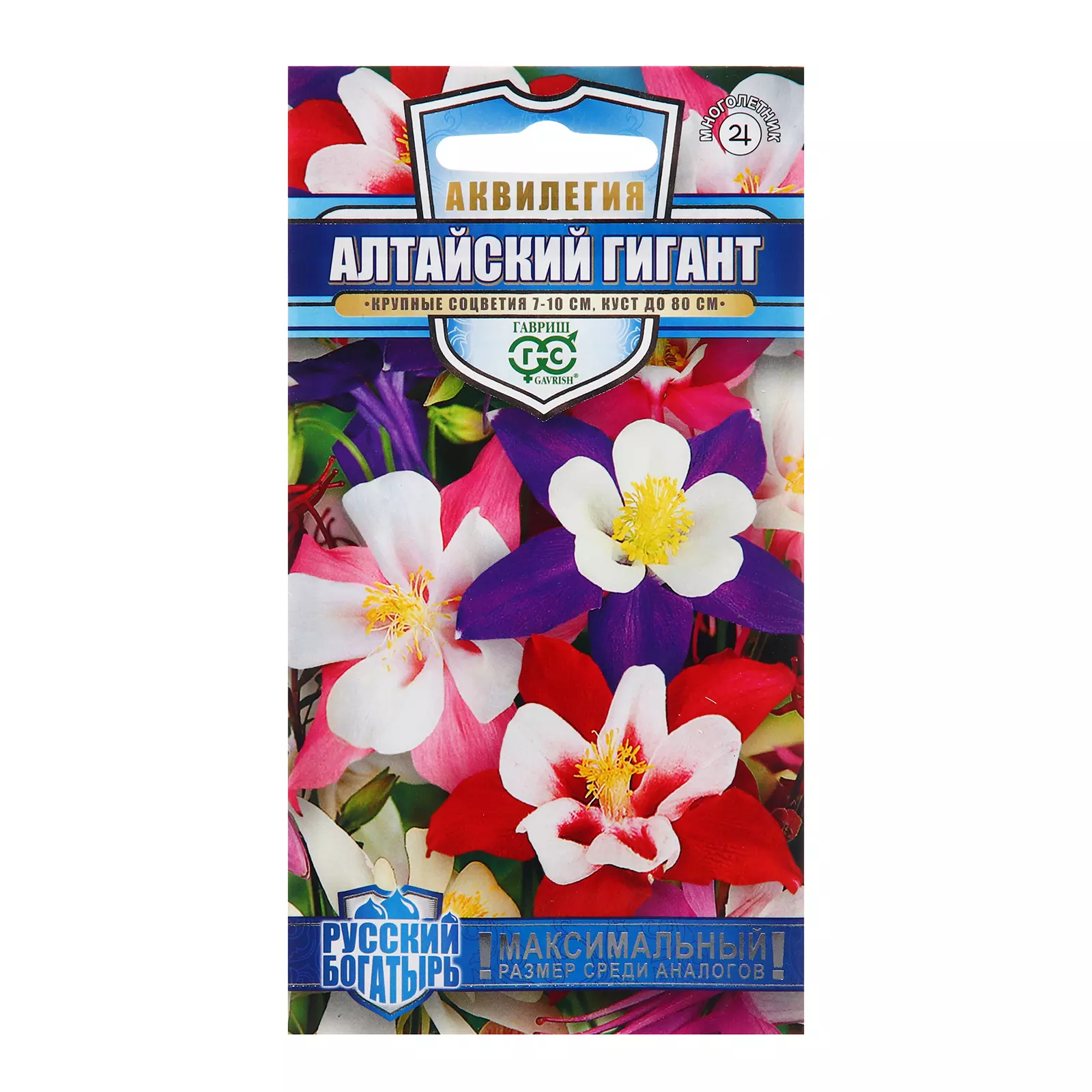 Семена цветов Аквилегия Алтайский гигант Гавриш цв, 0.05 гр