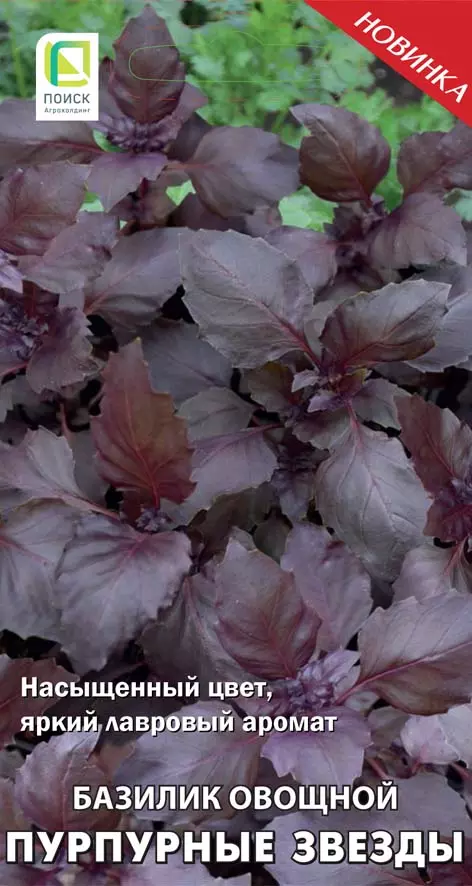Семена Базилик овощной Пурпурные звезды. ПОИСК Ц/П 0.1 г