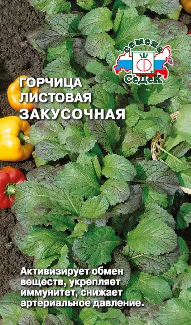 Семена Горчица листовая Закусочная, СеДеК Ц/П 1 г