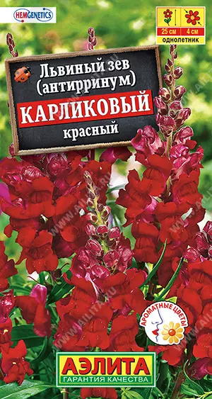 Семена цветов Львиный зев (антирринум) Карликовый красный. АЭЛИТА Ц/П 10 шт