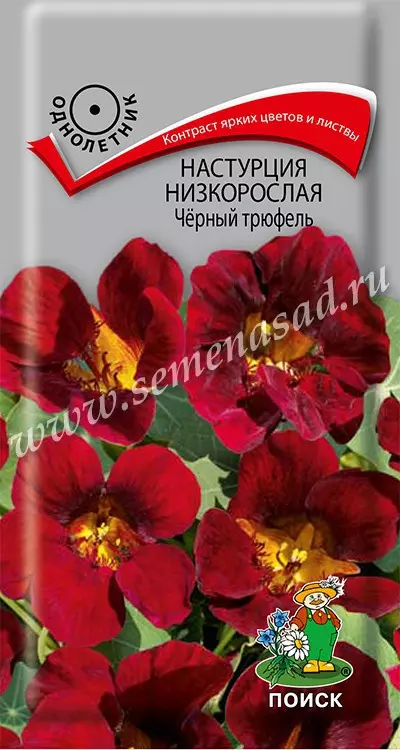 Семена цветов Настурция низкорослая Черный трюфель. ПОИСК Ц/П 1 г