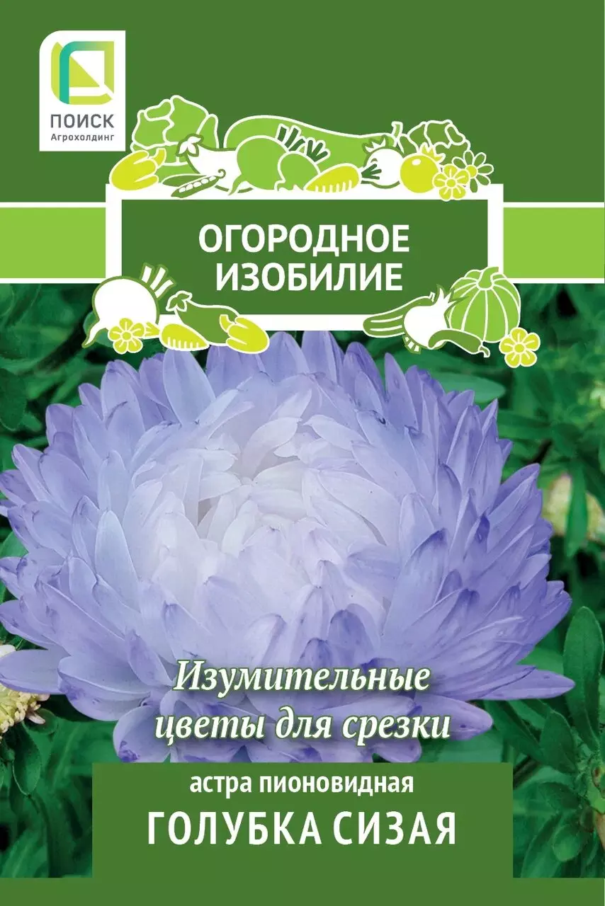 Семена цветов Астра пионовидная Голубка сизая (Огородное изобилие) (1) 0,3гр ПОИСК