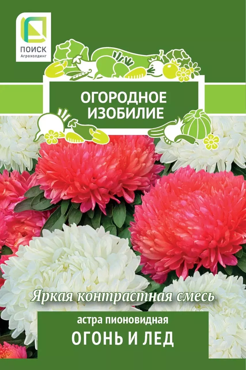 Семена цветов Астра пионовидная Огонь и лед (Огородное изобилие) (1) 0,3гр ПОИСК