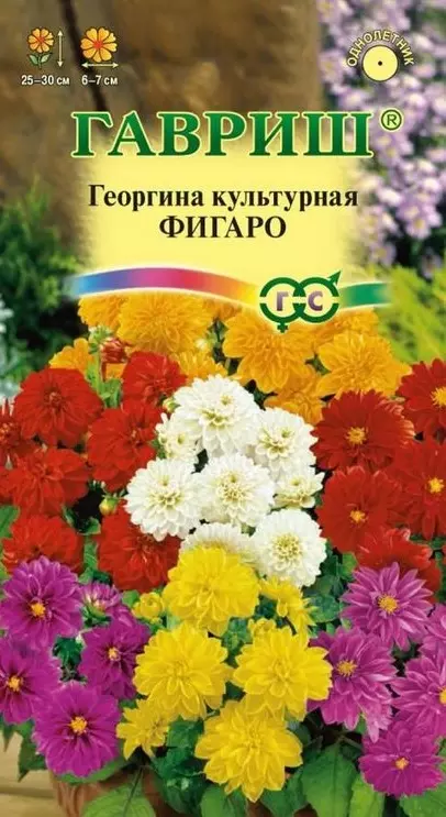 Семена цветов Георгина Фигаро 7 шт (Гавриш) цв