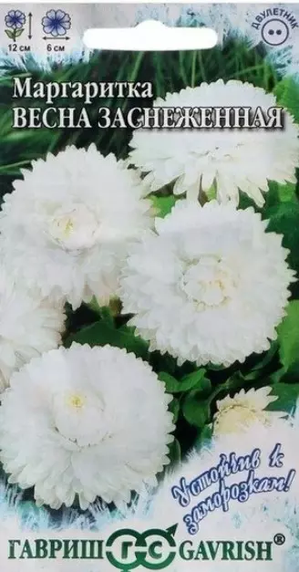 Семена цветов Маргаритка Весна заснеженная, ГАВРИШ 0,02 г ц/п