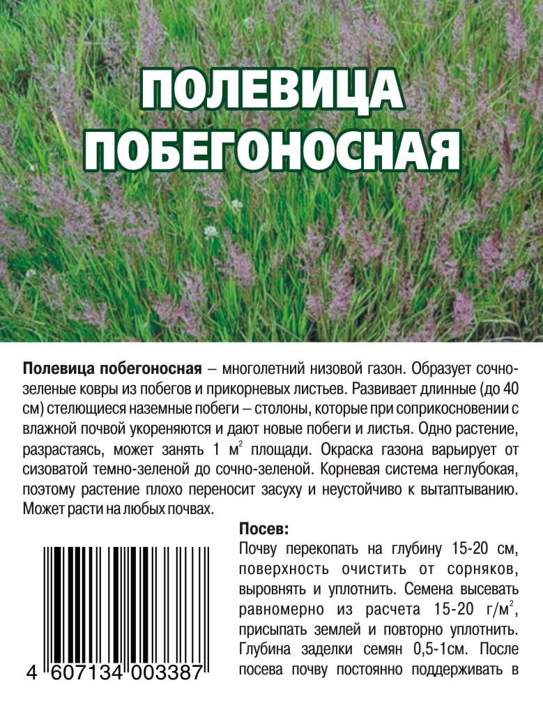 Полевица для газона фото описание