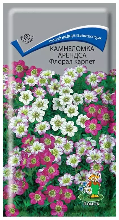 Семена цветов Камнеломка Флорал карпет, ПОИСК 0,01 г ц/п