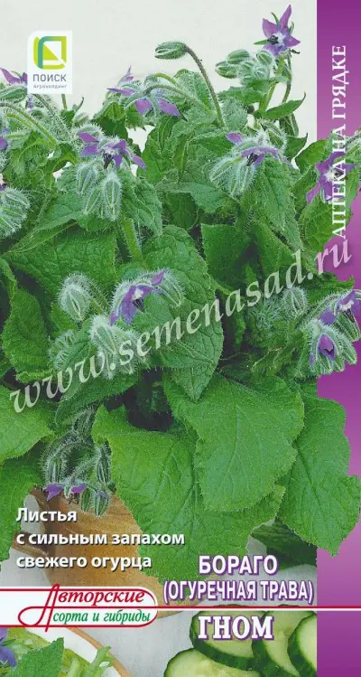 Семена Бораго огуречная трава Гном ПОИСК 0,5 г ц/п