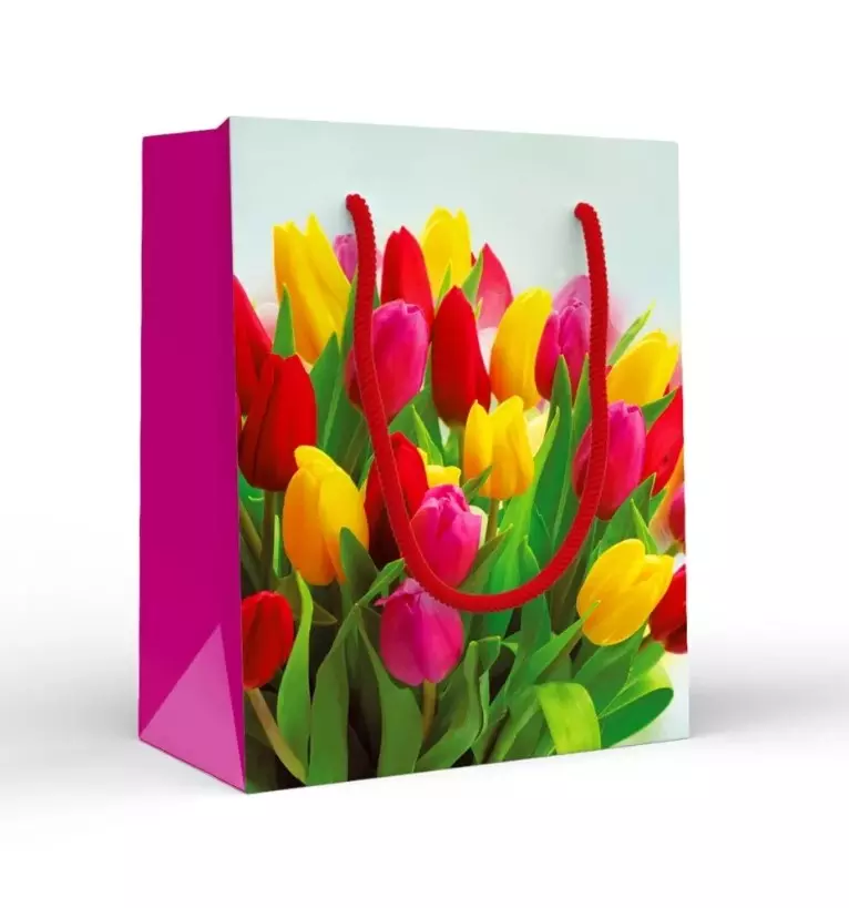 Пакет подарочный (S) Цветные тюльпаны 15.20.02272