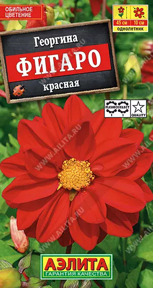 Семена цветов Георгина Фигаро красная. АЭЛИТА Ц/П 7 шт