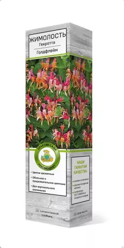 Саженец Жимолость декоративная Гекротта Голдфлейм (в тубе), Поиск